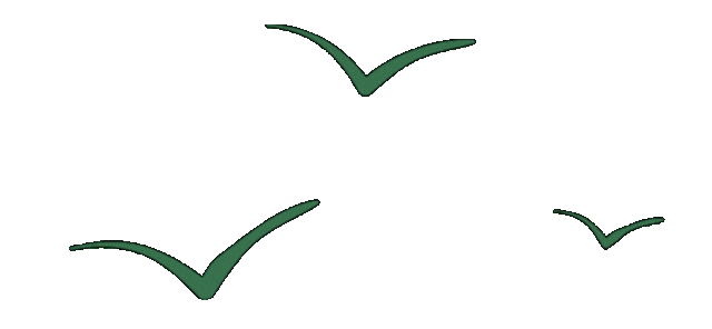 公路養(yǎng)護月度考核_路況_養(yǎng)護工區(qū)安全檢查