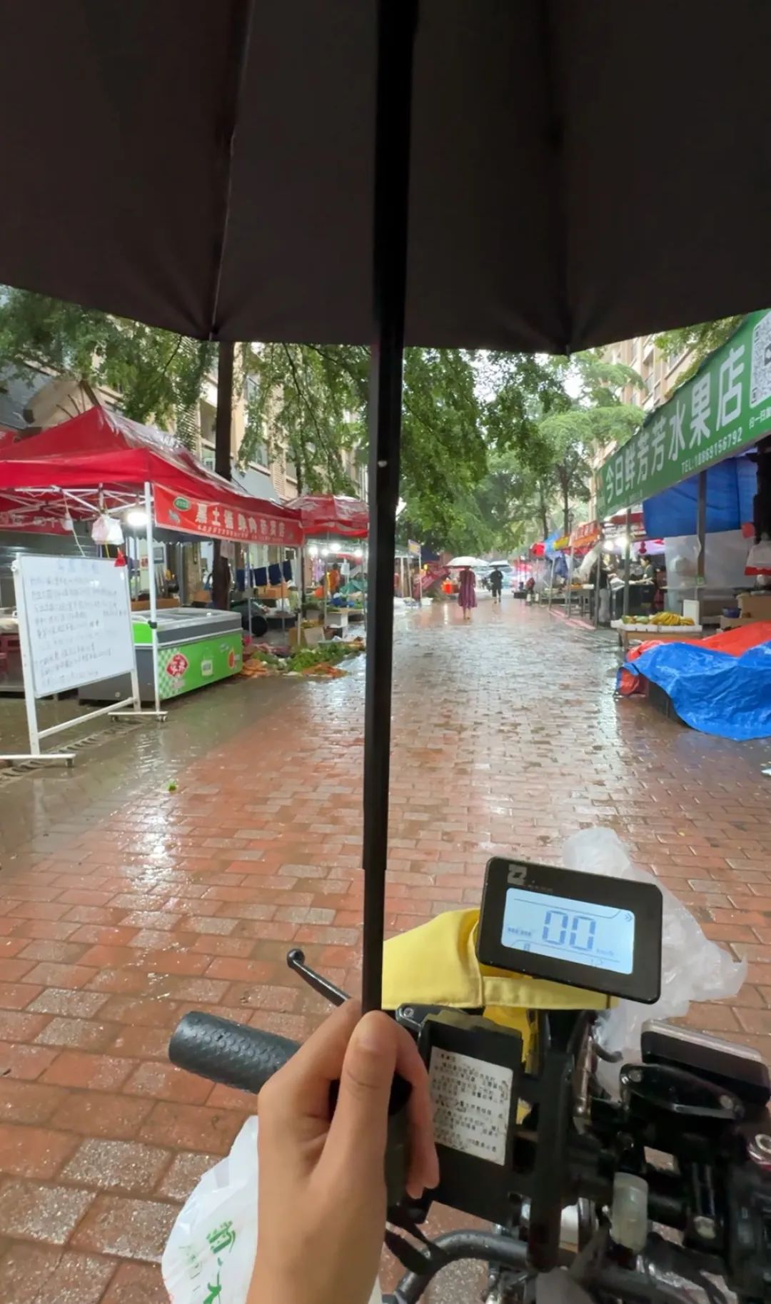 暑期輪椅旅行準(zhǔn)備_出行提示_無障礙旅游出行指南