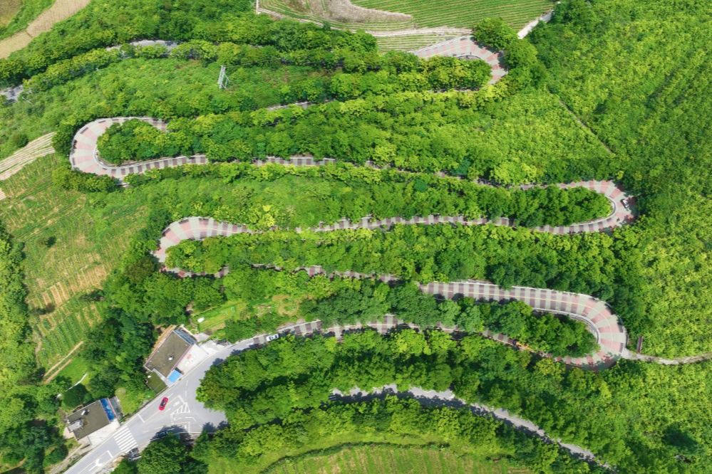 農(nóng)村道路交通安全提示_出行提示_駕駛?cè)顺鲂邪踩?/></p>

<p>駕駛?cè)似?/p>
<p>農(nóng)村道路出行安全提示</p>
<p>出車之前要對(duì)車況展開(kāi)檢查，圍繞車輛走上一圈，對(duì)胎壓進(jìn)行檢查，對(duì)燈光加以檢查，對(duì)剎車予以檢查，以此來(lái)保證車況處于良好的狀態(tài)。</p>
<p>第②點(diǎn)，一盔一帶，安全常在，不管是駕駛小轎車，還是乘坐車輛當(dāng)中的前排，或者后排，所駕乘人員都必須系好安全帶，騎乘摩托車、電動(dòng)車時(shí)，請(qǐng)正確佩戴合格的安全頭盔，對(duì)于拖拉機(jī)、三輪車，車尾務(wù)必一定要貼好反光貼，用以提示后車避開(kāi)避免追尾。</p>

<p>要守法，做到文明出行，不進(jìn)行無(wú)證的駕駛行為，不酒后駕車，不超員超載，不非法載人，不疲勞駕駛，遵守交通安全法律法規(guī)，從而文明出行 。</p>
<p>④駕車出行之際，心態(tài)需保持那種平和的狀態(tài) ，視線要朝著遠(yuǎn)處去放 。碰到農(nóng)用車 ，碰到三輪車 ，要懷揣耐心去跟隨 ，挑選安全地段之后再超車 。路過(guò)村口時(shí) ，經(jīng)過(guò)路口時(shí) ，穿過(guò)巷口時(shí) ，務(wù)必要提前降低速度 ，并且鳴響喇叭 。</p>

<p>行人篇</p>
<p>農(nóng)村道路出行安全提示</p>
<p>步行之際，當(dāng)盡可能游走于硬化路面之邊緣地帶或者專門設(shè)置之人行通道上面，需避開(kāi)那些存在坑洼以及破損狀況的路段，并且要沿著邊緣行走；而當(dāng)路過(guò)路口、彎道、坡頂?shù)葘儆谝暰€盲區(qū)的區(qū)域之時(shí)，務(wù)必要格外留意進(jìn)行觀察。</p>
<p><img src=