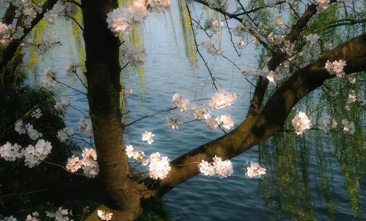 天津限行新規(guī)_字母車(chē)牌限行規(guī)則_限行