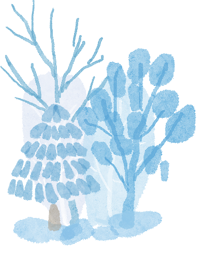 大風降溫天氣預報_明顯降雪天氣預報_出行提示