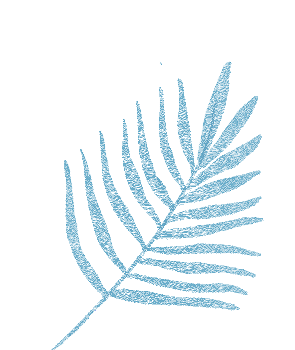 出行提示_冬季延邊降雪天氣預報_雪天行車安全指南