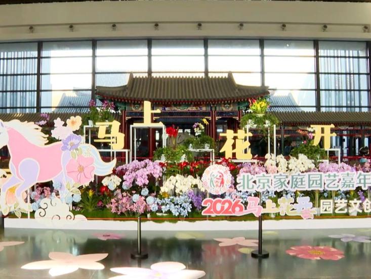 限行北京_限行號牌尾號_限行