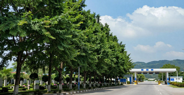 2024年清明高速免費(fèi)政策_(dá)高速清明出行注意事項(xiàng)_出行提示